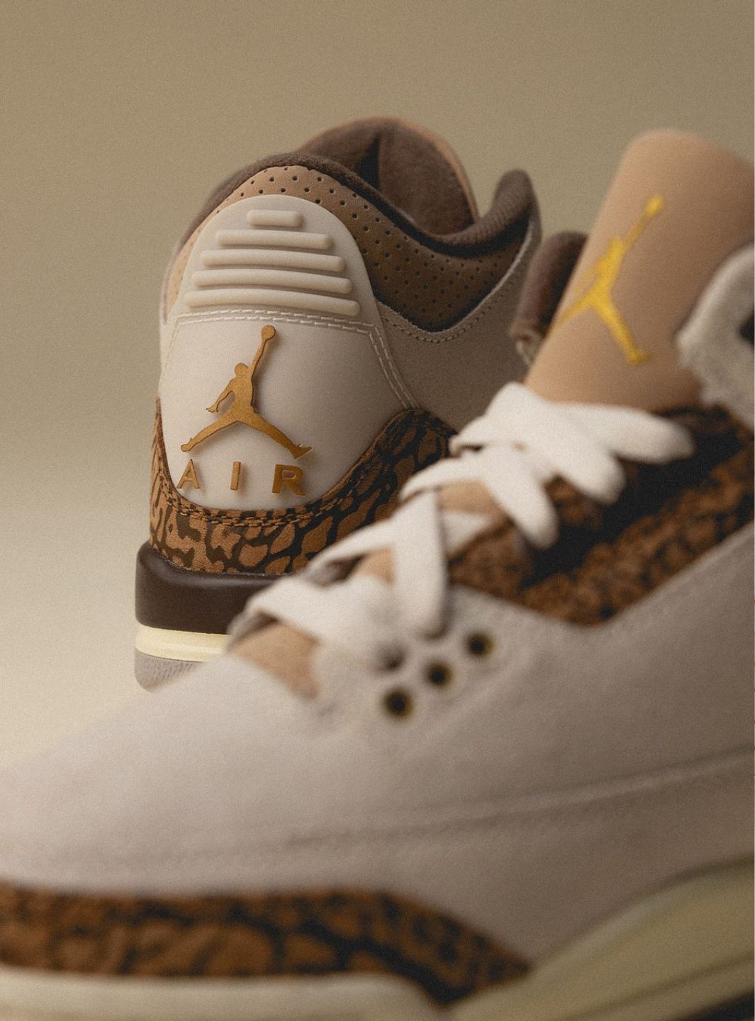 Air Jordan 3 Palomino - CT8532-102 | ResellZone